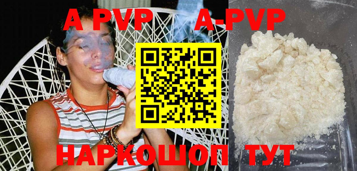 Альфа ПВП СК КРИС Кизилюрт