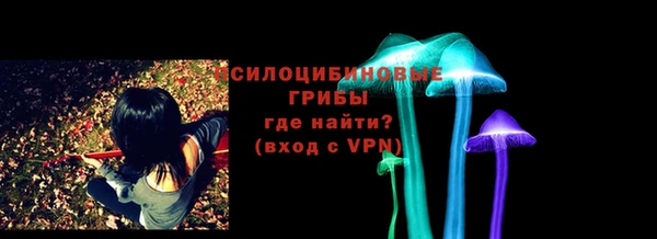 СК Няндома