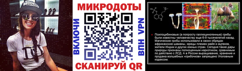 где купить наркоту  Кизилюрт  Галлюциногенные грибы Psilocybine cubensis 