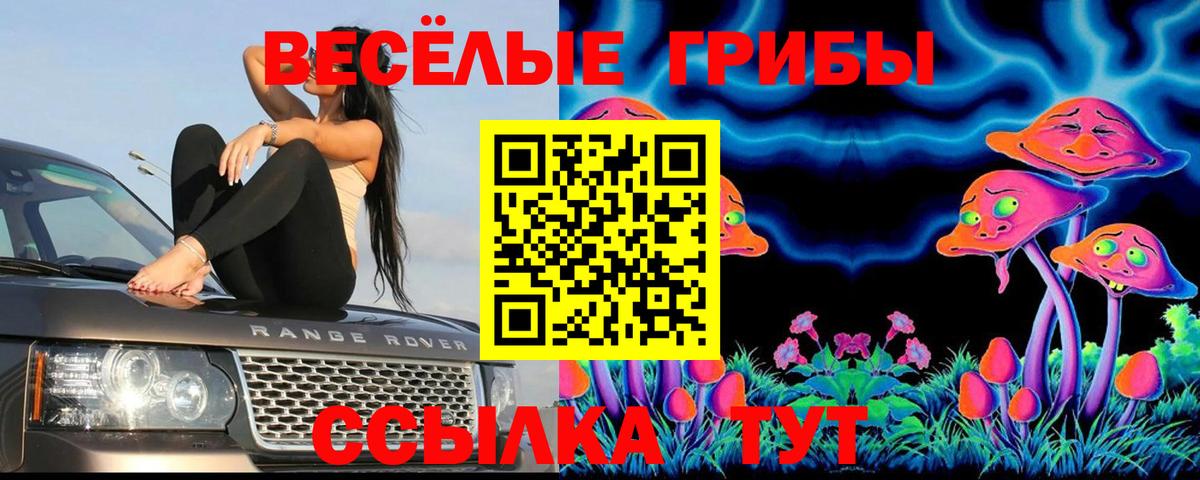 Псилоцибиновые грибы Magic Shrooms Кизилюрт