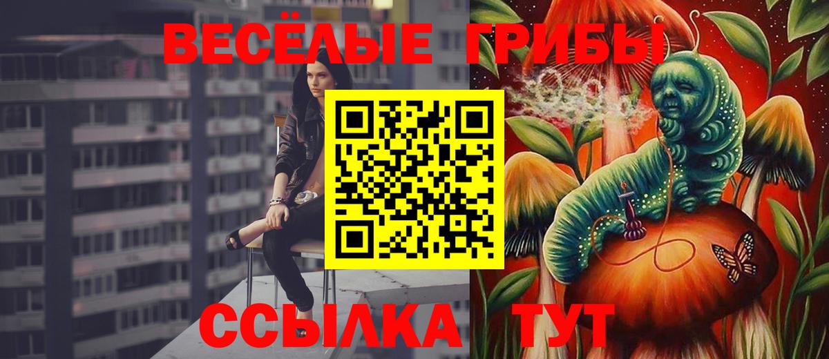 Галлюциногенные грибы Magic Shrooms  Вход с VPN  Кизилюрт 