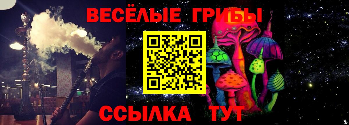 Галлюциногенные грибы Psilocybine cubensis  Псилоцибиновые грибы ЛСД  Кизилюрт 