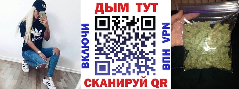 OMG как войти  купить наркотики сайты  Кизилюрт  Канабис SATIVA & INDICA 